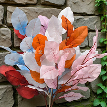 �S��ֱ���������~���滨��Y��ˇ��Ƭ����ɭϵ�����F�������~��