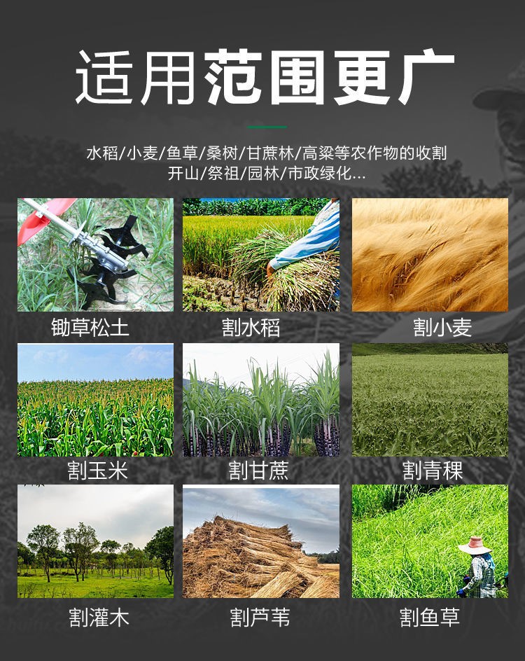 O1CN013QXOYe2K7AtmYCn0l_!!2211