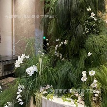 ɭϵ�J��������b�ˇ����Gֲ��Y�쾰�Gɫ��c·��������Y��