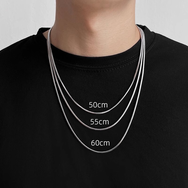 Titanium steel solid square snake bone chain necklace men's 2023 new popular fashion all-match hip hop men's and women's same plain chain
