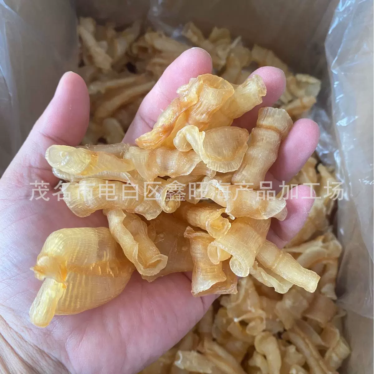 一手批发凤尾胶高品质精品红鱼肚红鳘鱼胶红鱼胶红干鱼鳔高蛋白
