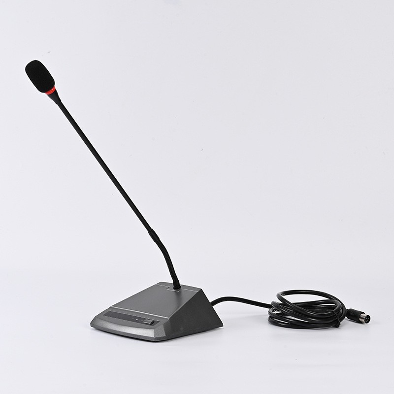 Representative microphone (video type)
