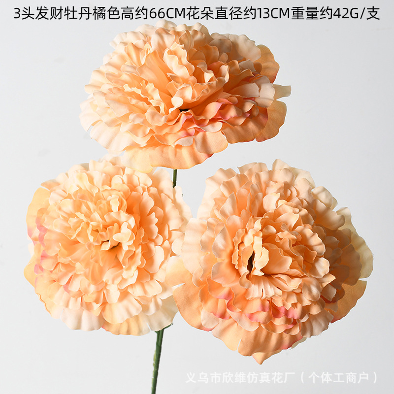 3 ผม โชคลาภ ดอกโบตั๋น สีส้ม