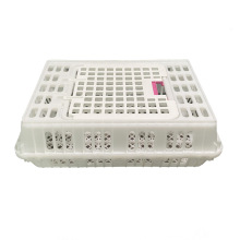 鸡鸭鹅成鸡运输笼 塑料大鸡笼子 大开口家禽周转箱 pp料鸭苗筐