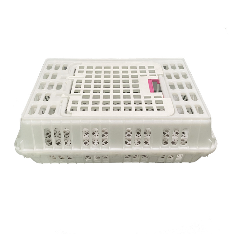 塑料鸡笼 鸡鸭运输笼 成鸡周转箱 元宝扣鸡笼子 家禽运输笼厂家