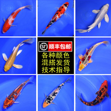 ��S�\���~���~�^�p�~���N�~���ͼt����ˮ��ˮ���B�ͻ���~С�~��