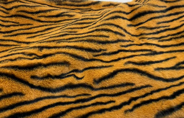 Brown zebra