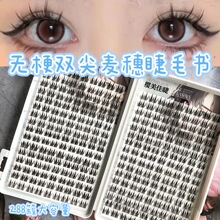 ������ճ�z��o���p������ٽ�ë��ë�����ֺ��κò�����y�p̩�y