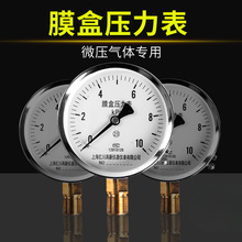 YE100Ĥ�Љ����� 0-10/16/25/40/60KPA��Ȼ��ȼǧ���ܵ�΢��