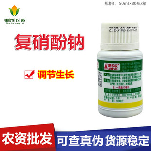 �۶��� 1.8%�������c �����{�����L50���� ֲ�����L�{����