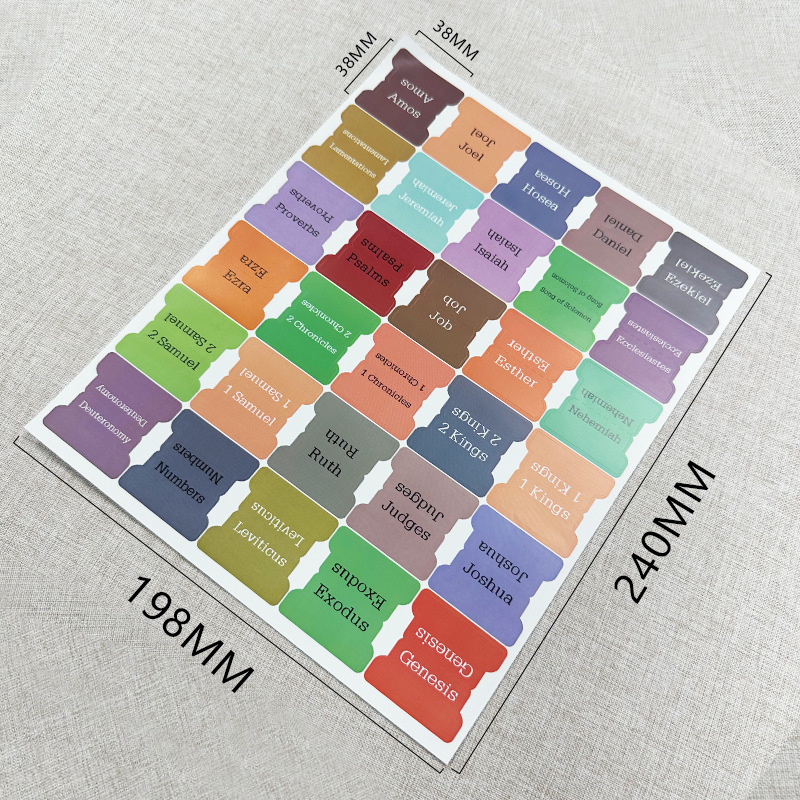 C타입(재고 있음)