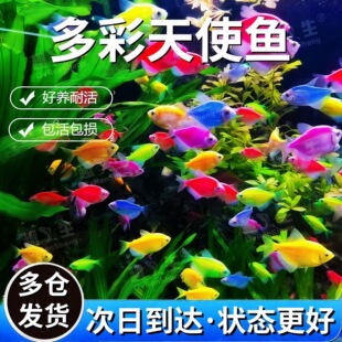 �û��߲���ʹ�~�^�p�~���~Ⱥ��С���~��ˮ���B�ͻ�Ꭷ�����~