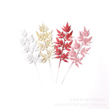 ����ѷʥ��װ�ν�۷���ֲ���������������Ҷ������ҷ��滨