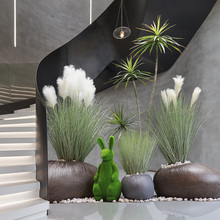 ����ֲ���쾰�Gֲ���^�b��҃��̈��Ƶ��������ɰ��ʯ��β�ݲ���