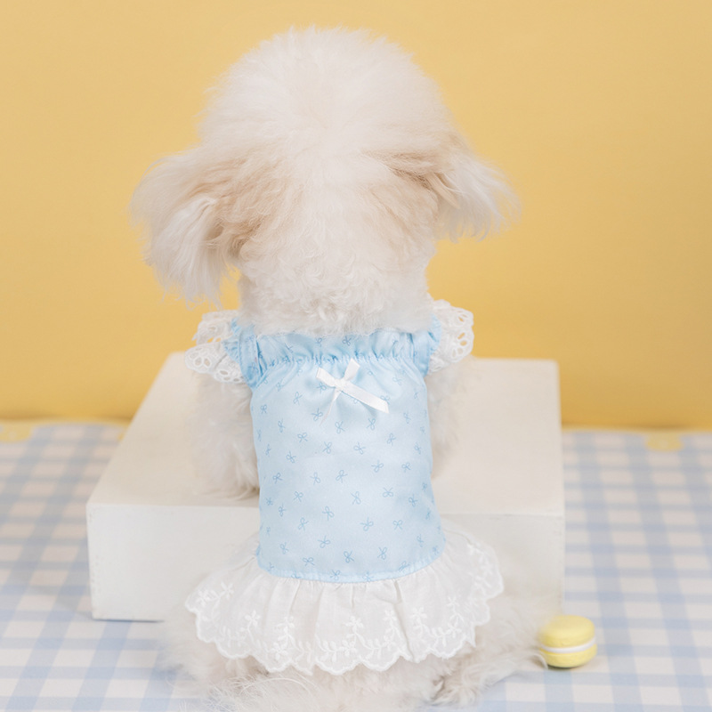 Primavera y verano perros de encaje vestido de princesa con ojos llenos de mariposa vestido de cabina de ciprofone gato pequeño perro ropa de mascotas