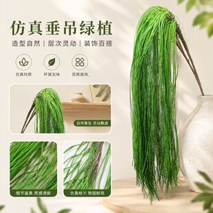 �羳����Gֲ��횲ݻ�c���������Gֲɭϵ�����ٗl�Ƶ�ٻ��b�