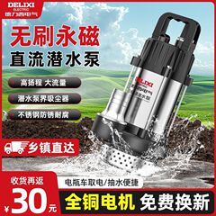 Delixi ブラシレス DC 水中ポンプ 48v60v72v バッテリー車専用ポンプ農業灌漑小型