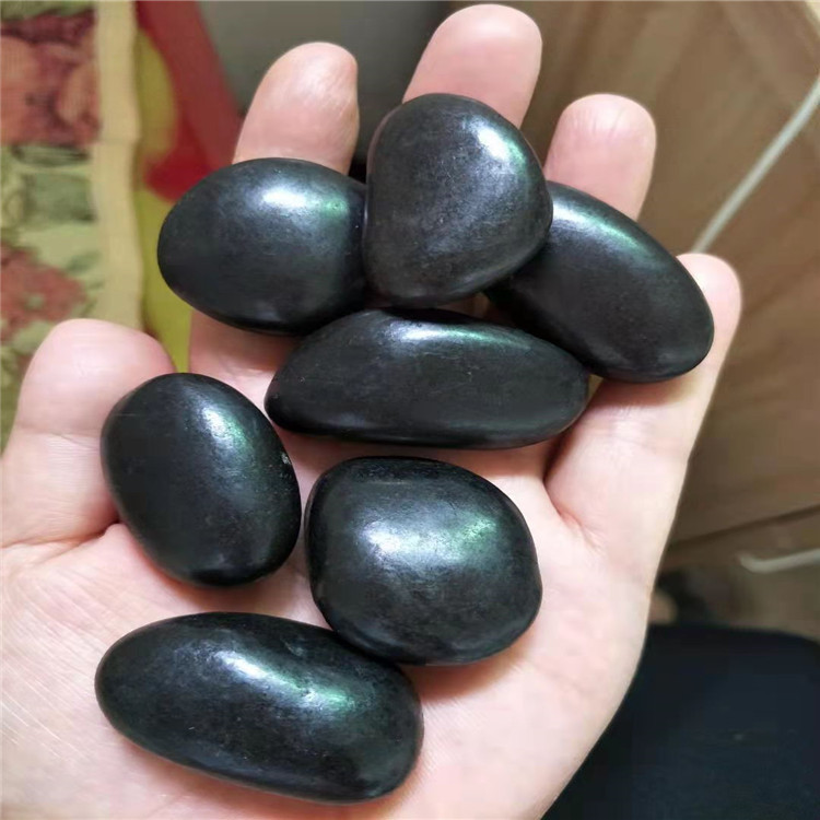 微信图片_202202211506265