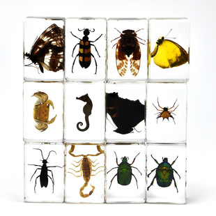 ??3#С̖������x����˱��������Ŀ���С֪�R��Ƭ�����ЌW����