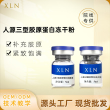人源Ⅲ重组三型胶原蛋冻干粉 紧致童颜补水保湿淡化细纹补充胶原