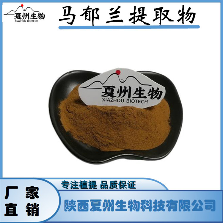 马郁兰提取物10/20/30:1比例萃取  马郁兰粉  夏州销售  kg装