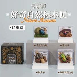 冰箱贴;现代装饰画;标本