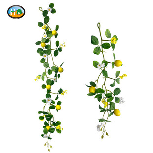 ���晎���ٗl ���R�d������ĭ���Gֲ���������҃��b����왎����
