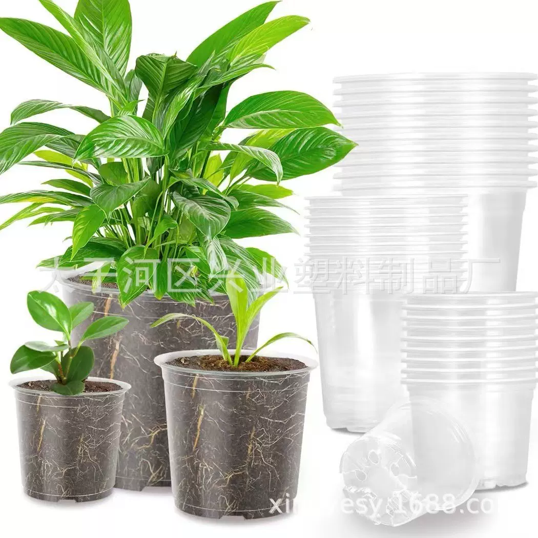 PP透明塑料育苗盆塑料花盆种植培育花盆培育移植盆营养盆透明花盆