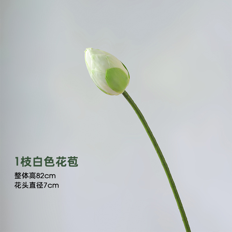 ハスの花のシミュレーション花は仏前の仏堂の蓮の花を供えて飾ります。|undefined