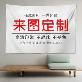 DIY来图钉制背景布网红主播墙布ins挂布房间装饰品挂毯装饰布