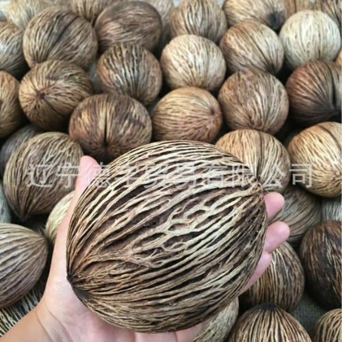 千纹果 帝王果进口果壳干果干花装饰插花天然植物家居摆设节日礼