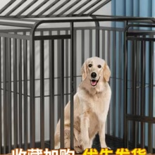 ���\�Ӵ���Ȯ���� �ӹ̽�ë�������๷�\����Ȯ���� ���\�ӼӴ�