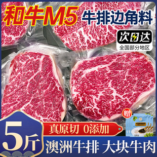 ����M5ԭ��ţ��߅���ϰ���˹���M3��ţ���rѩ����������ţ�����