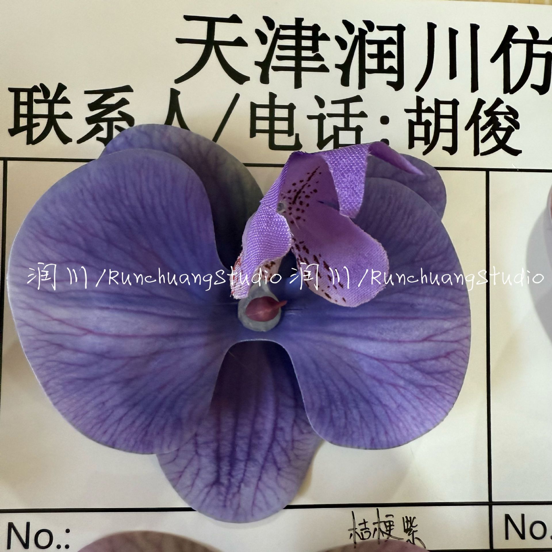 도라지 보라색