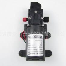 洗士泰水泵12V高压洗车泵微型泵家用洗车器水泵关枪停机大压力