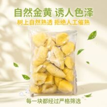 泰国金枕榴莲去核6斤泰国榴莲肉商用3kg原料批发顺丰冷链果肉无核