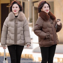 2025¿궬̿sbů\bSҿɫ