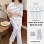 短袖格子大码夏季家居服