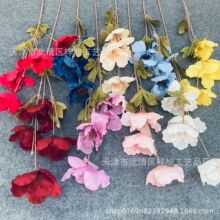 4�^ܽ������c���滨ˇ��Y����·���������߼ٻ��羳���Q���R�d