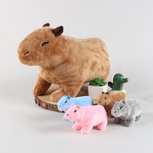 �F؛����羳CapybaraRodentĸ��ˮ����һ�����ˮ��ë�q��߹���