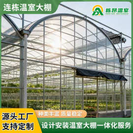 连体连栋温室大棚工程 抗风抗雪智能连栋温室大棚养殖大棚拱棚