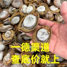 厂家批发海味干货10-11头12-13头足干糖心南非老鲍鱼南非鲍醇香