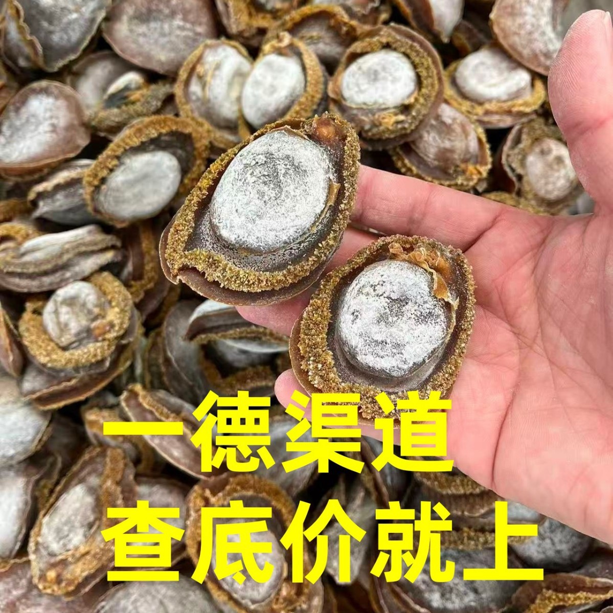厂家批发海味干货10-11头12-13头足干糖心南非老鲍鱼南非鲍醇香