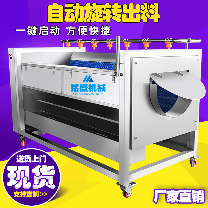 厂家现货商用鱼类去麟清洗机 草鱼鲤鱼去鱼鳞机 毛刷清洗设备