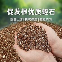 ��ʯ�@ˇǤ���B������������|���w�����Ᵽ�ظ������԰l���I�B