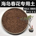 海岛春花土风化土颗粒土红沙土酸性盆景土风化石赤玉土种桩土