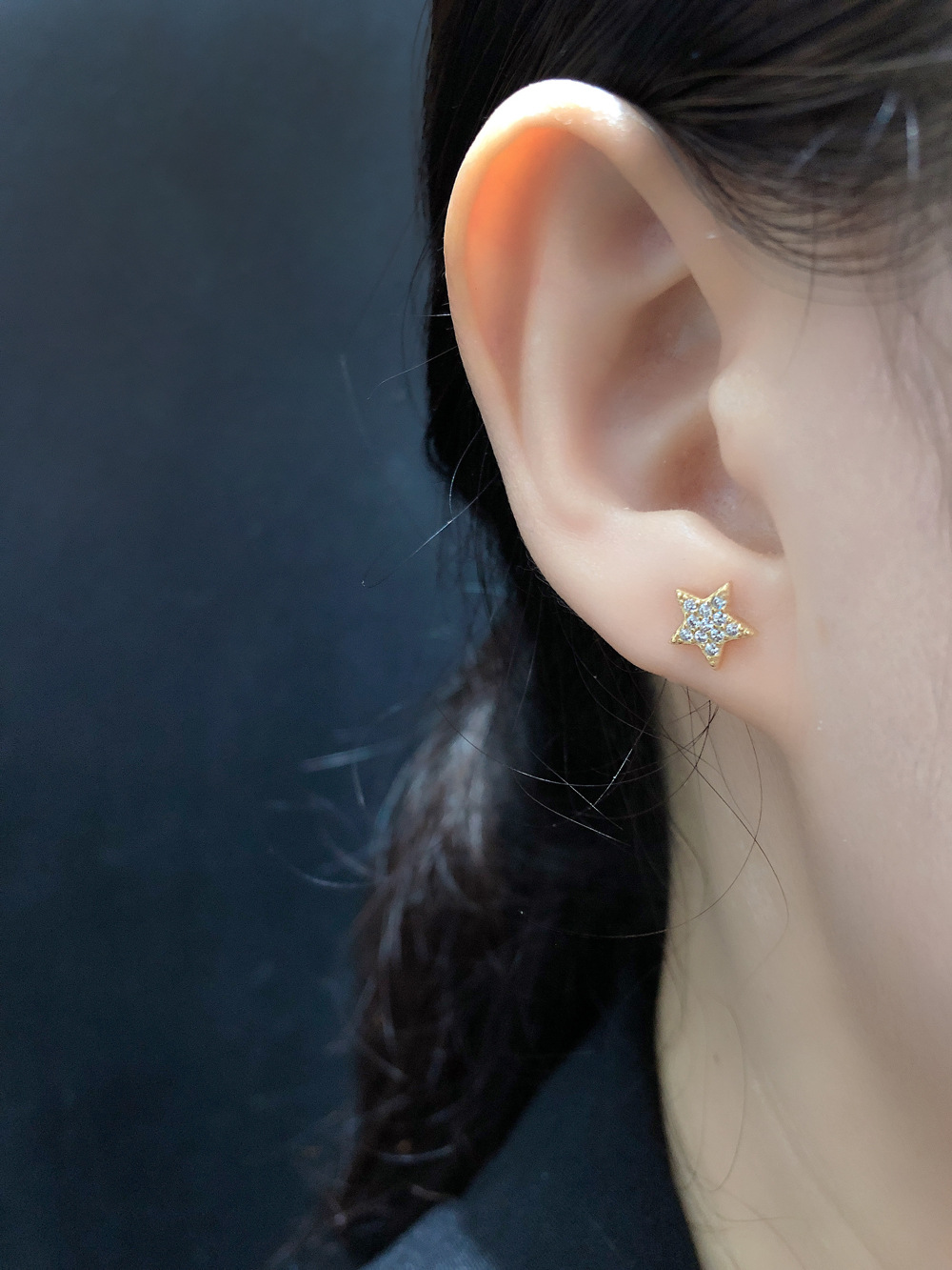 Fashion Star Sterling Silver Inlay Zircon Ear Studs 1 Pair