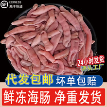 大连海肠新鲜海肠即食新鲜冷冻海肠皮子去头去尾去内脏海肠捞饭