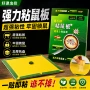 家用布置粘性跨境粘鼠板