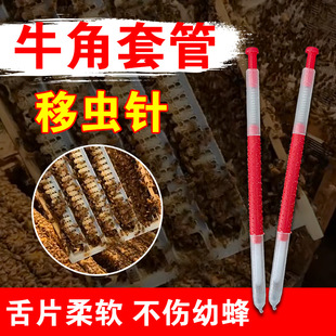 ţ���ֹ����x���ʽ�з�����B���������߷���ȫ�׷����������